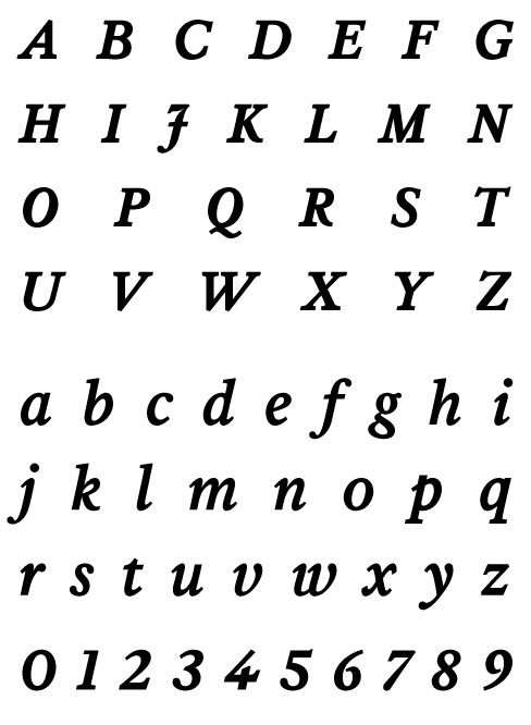 Leyden News Bold Italic