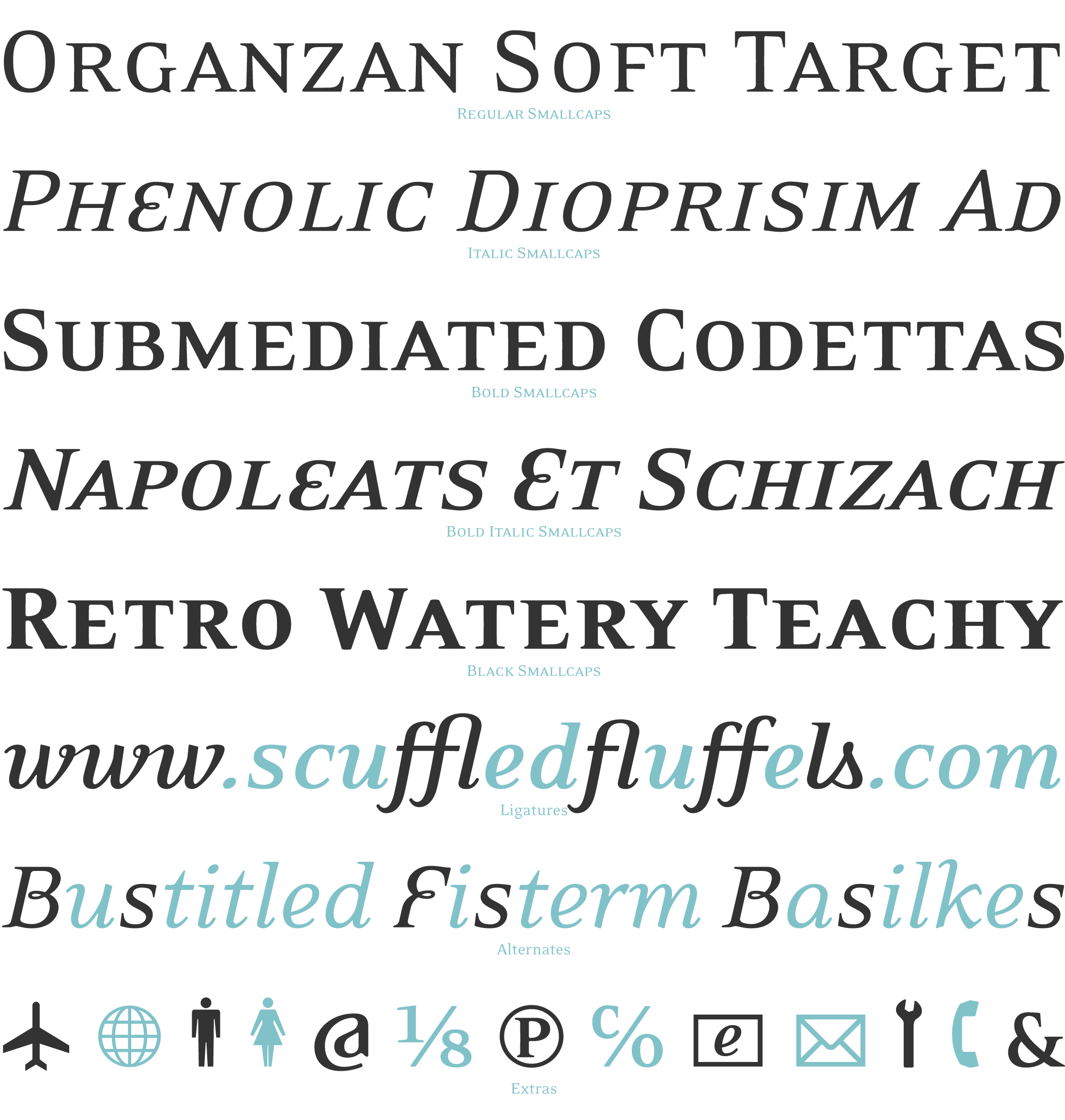 Eidetic Neo Font Type Preview
