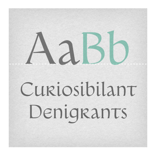 Proconsular Font from the library of PSY/OPS Type Foundry