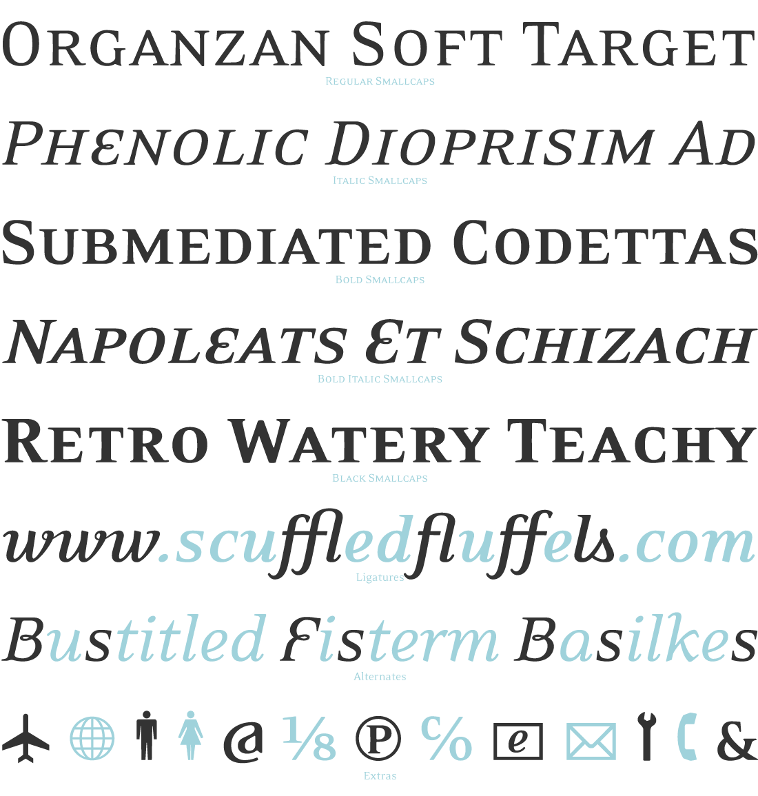 EideticNeoSpecimenTesting_03