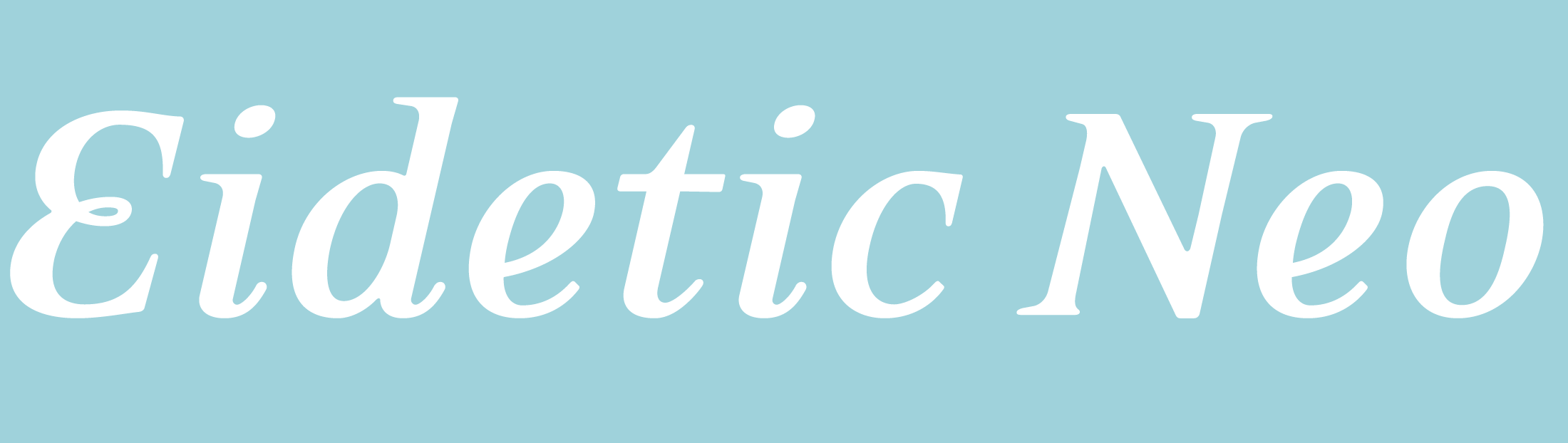 Eidetic Neo Typeface