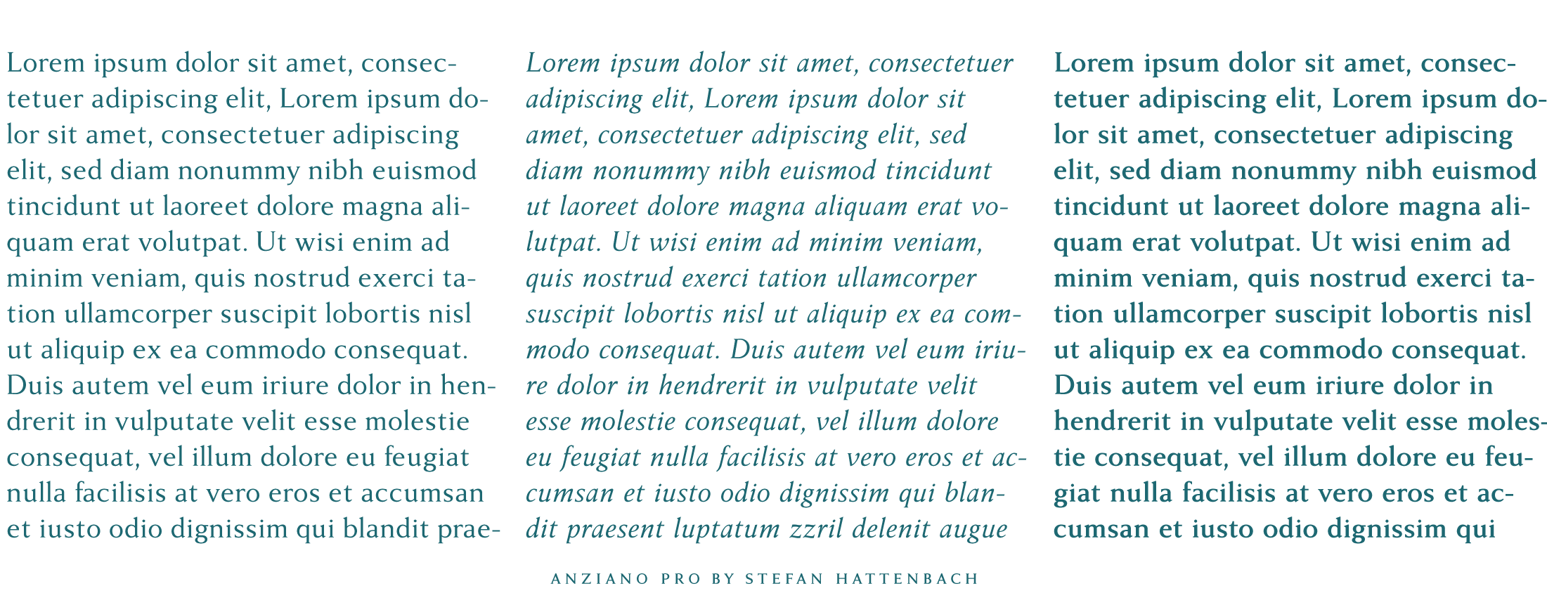 Anziano Text Example