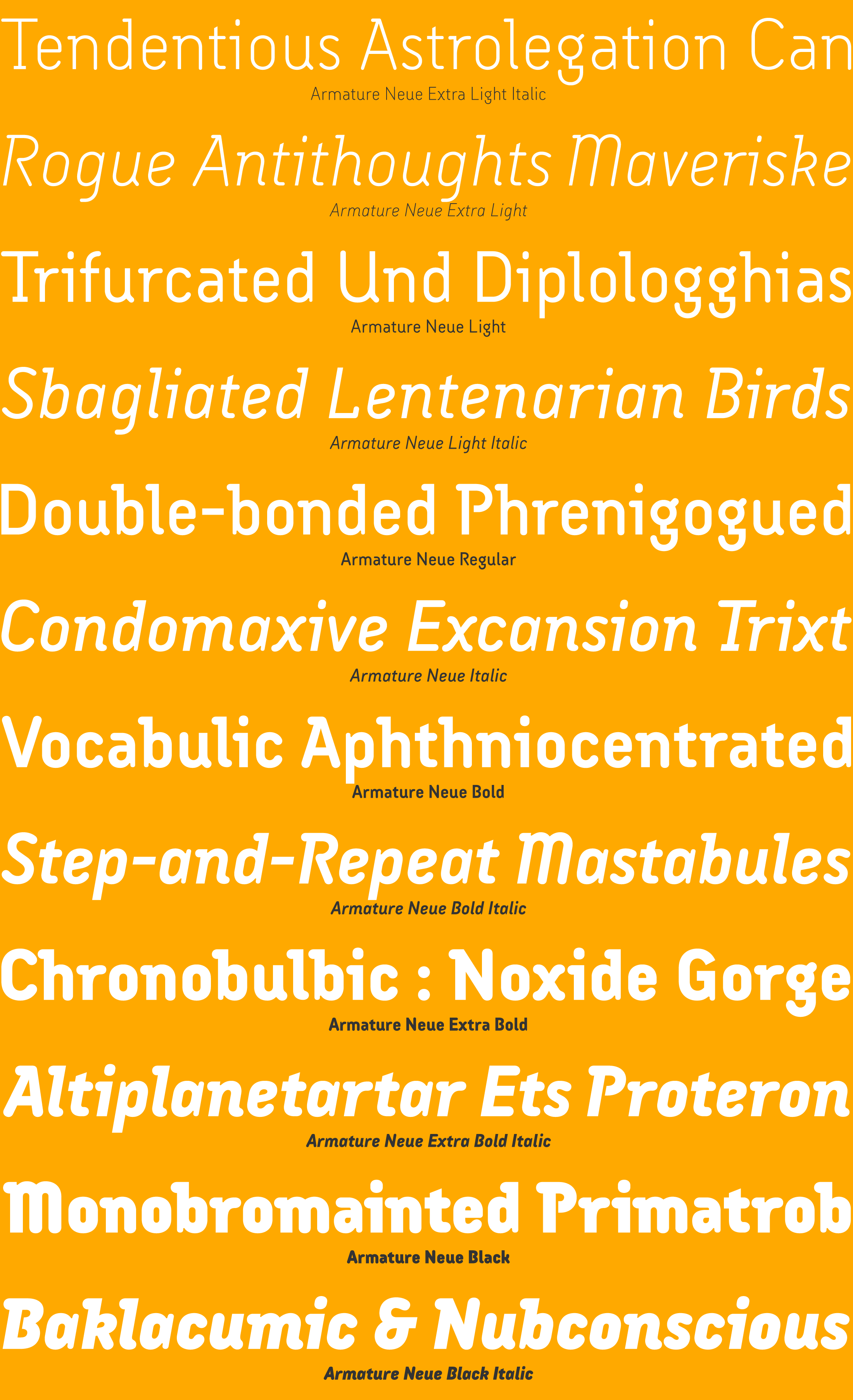 Armature Neue Font Specimens