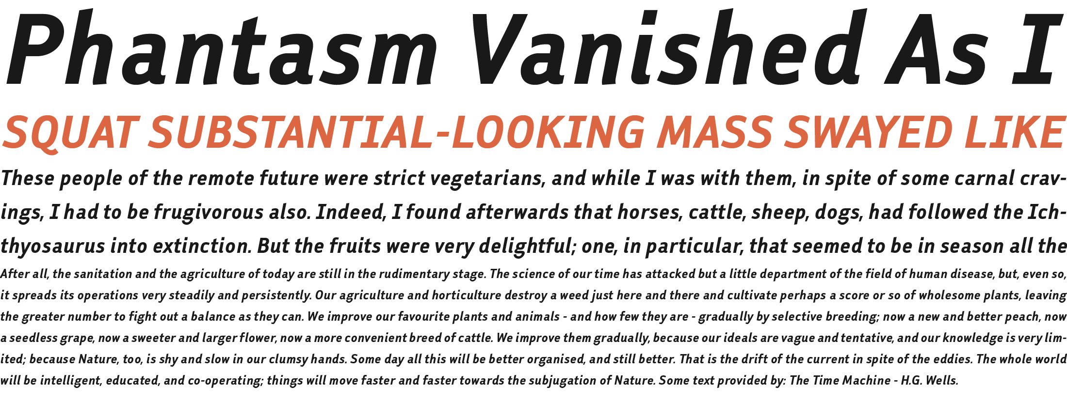 faceplate_sans_lv_specimen_2j