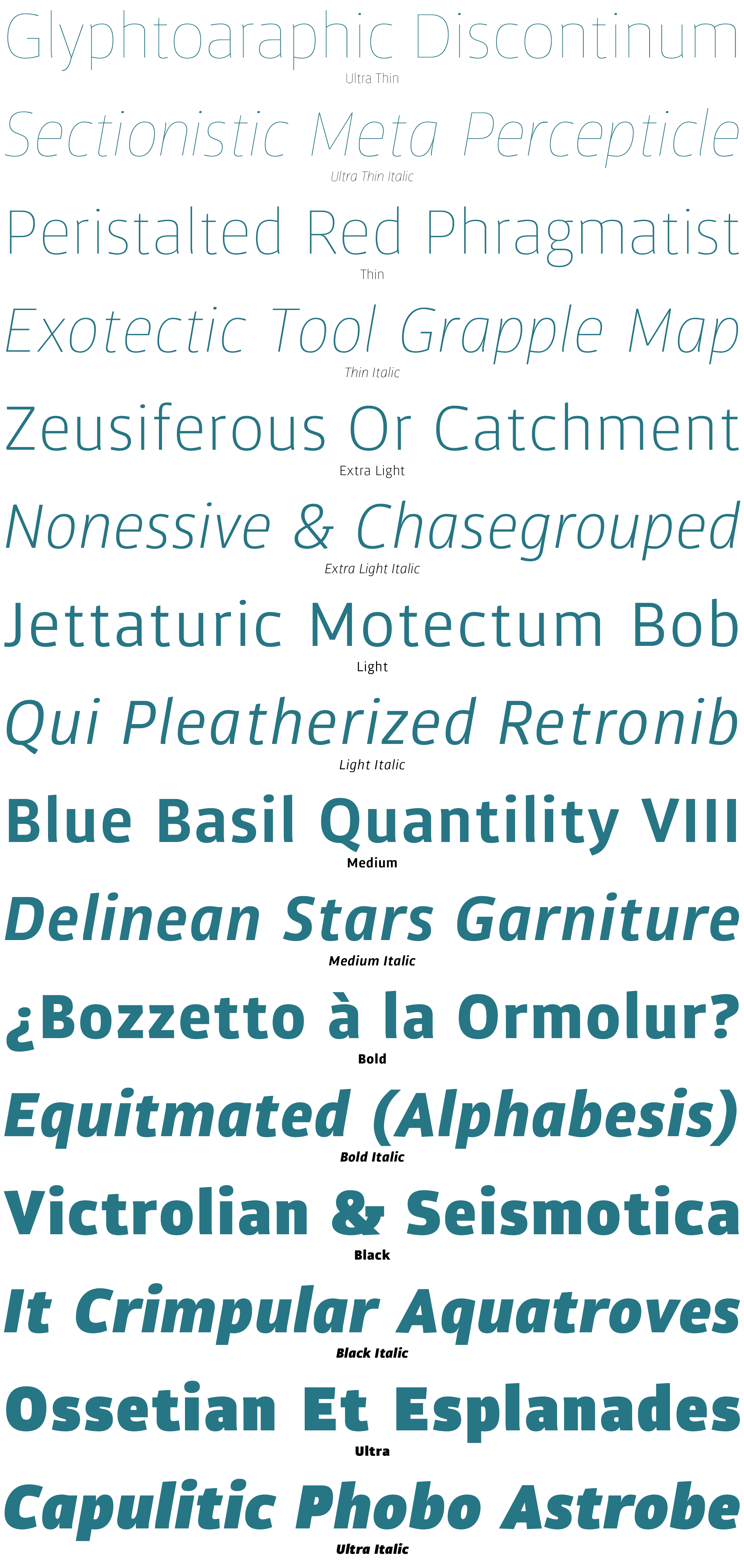 Carouge Pro Font Specimen