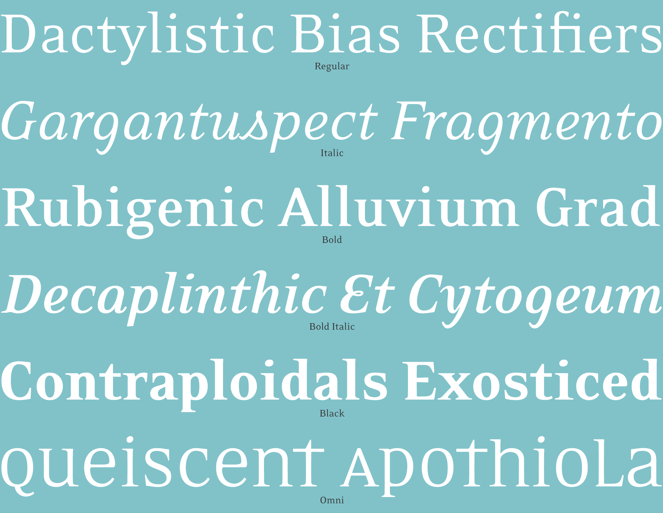 Eidetic Neo Font Specimen