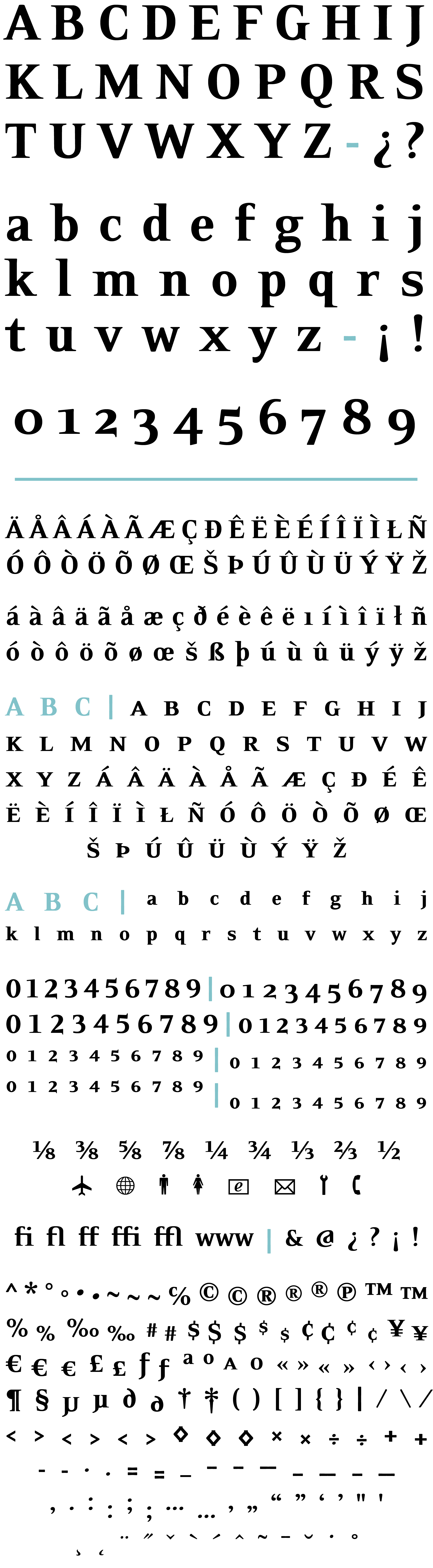 Eidetic Neo Font Black