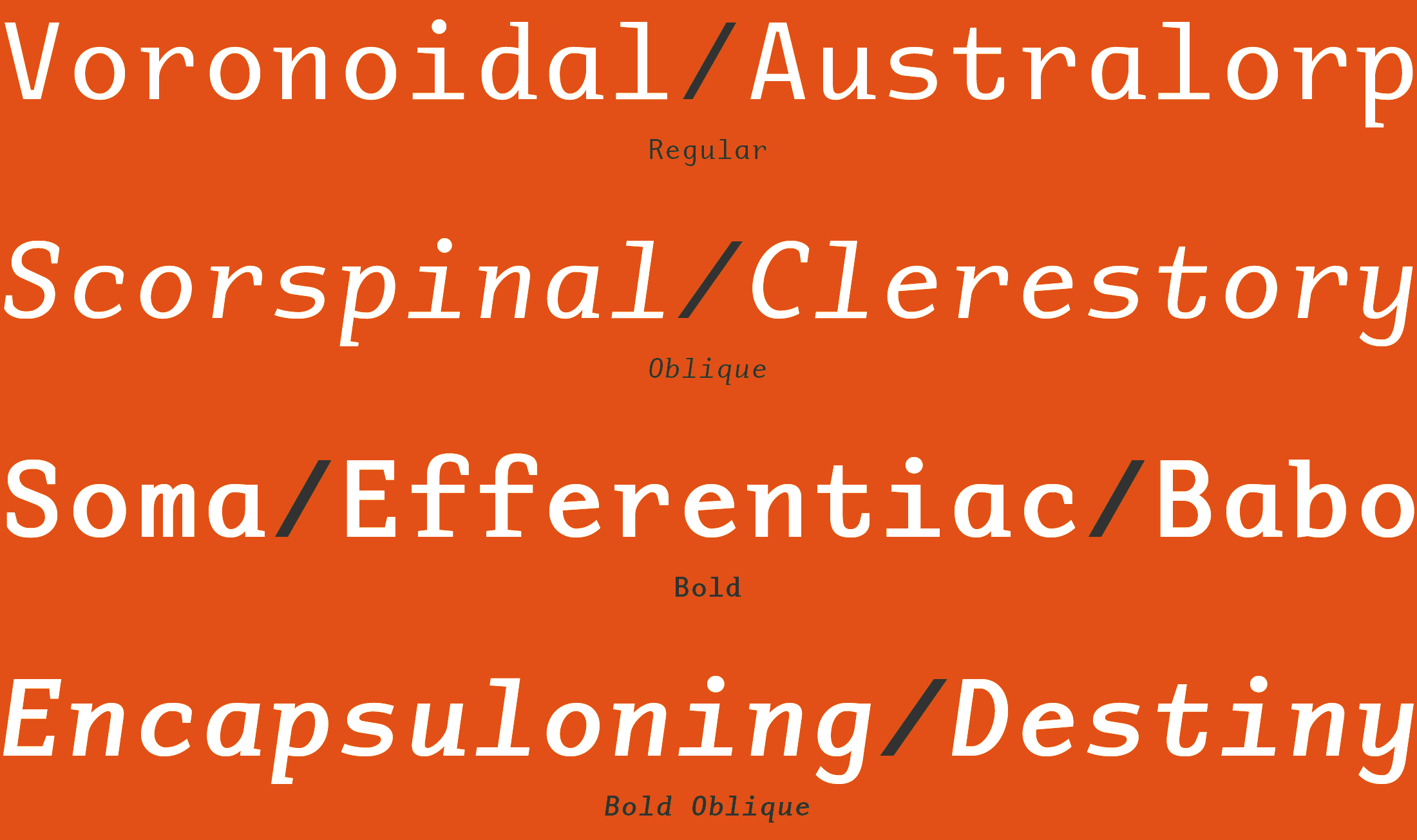 adaptivemono_font_specimen_slash1 Adaptive Specimen